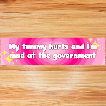 Mad at the Government Bumper Sticker